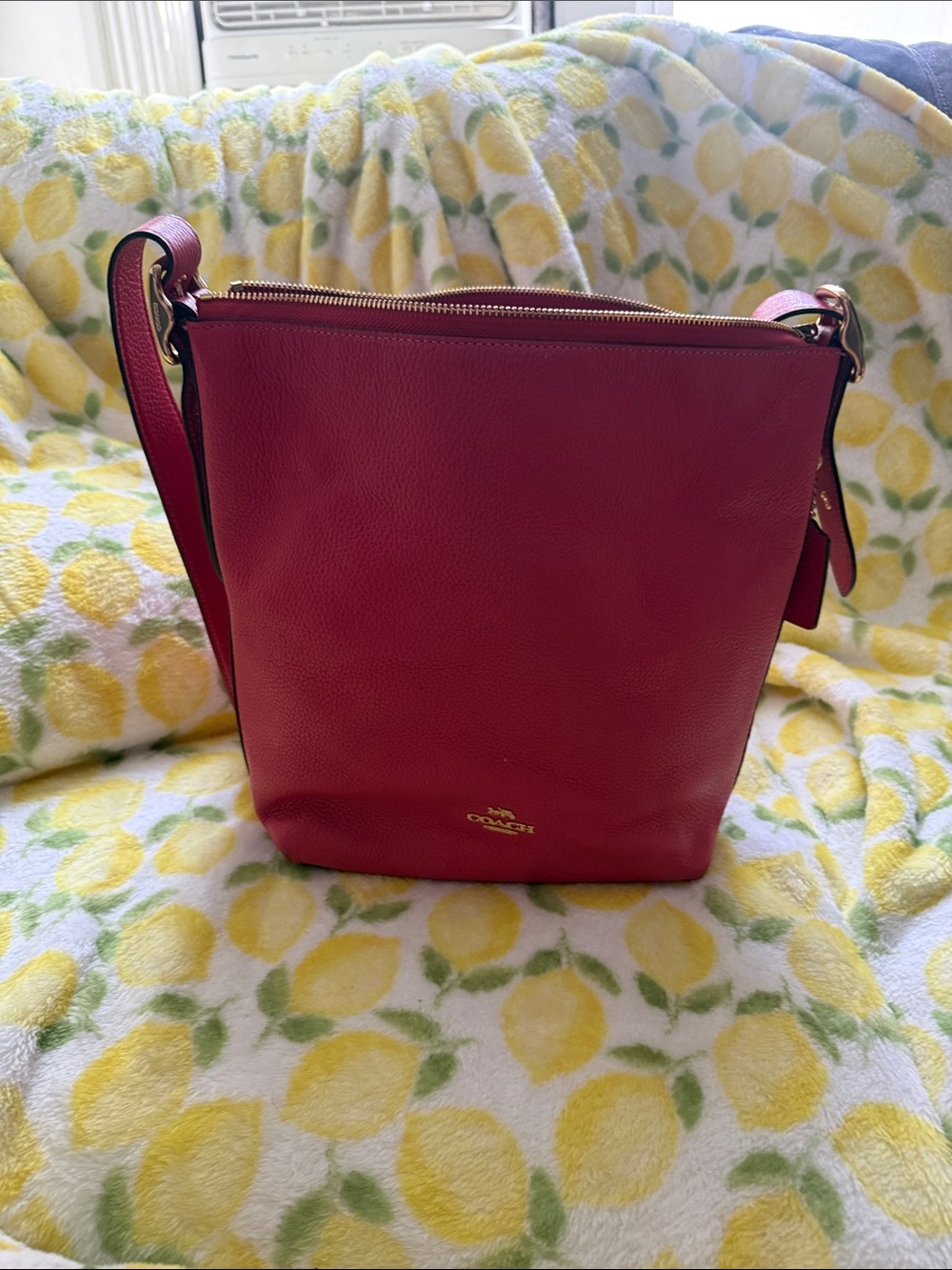 Coach Pink Pebbled Leather Crossbody Bucket Bag